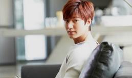 Lee Min Ho - người đàn ông trong ngôi nhà mơ ước