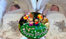 Bống Hồng Nhung tiết lộ tên khai sinh và ảnh cũ hai con sinh đôi tròn 2 tuổi