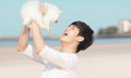 Cơ hội "vàng" để fan tiếp cận gần mặt Kim Soo Hyun