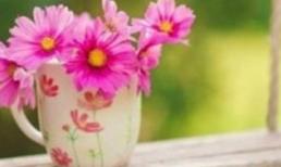 Khám phá thứ tư của bạn (9/4)