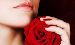 Hãy cứ là đóa hồng kiêu hãnh