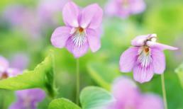 Khám phá thứ năm của bạn (1/5)