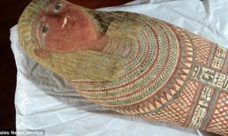 Bí ẩn xác ướp bào thai 12 tuần tuổi