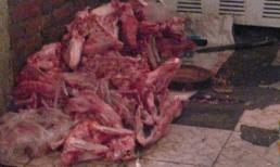 Kinh hoàng xem các công đoạn làm giò chả