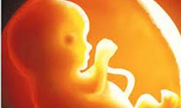 Những điều thú vị trong 3 tháng giữa thai kỳ