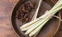 Lợi ích sức khỏe bất ngờ từ cây sả