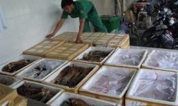 Nguy hại thịt bẩn ngoại nhập!