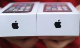 iPhone 6 sẽ là siêu phẩm thành công nhất của Apple ?