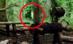 Bỏ cắm trại trong rừng vì... gặp ma