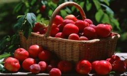 Ăn gì trước khi tập yoga?