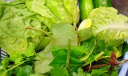 Cảnh giác với bệnh thương hàn