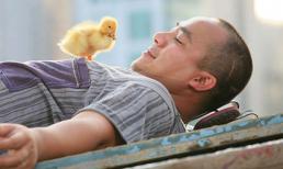 Vũ Ngọc Đãng – đạo diễn có duyên làm phim với động vật