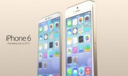 iPhone màn hình 5,5 inch có thể chưa ra mắt năm nay