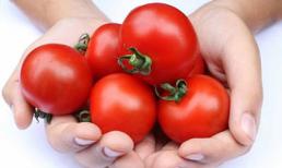 Đẹp toàn diện chỉ với cà chua