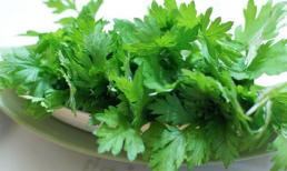 Ngải cứu: Tác hại từ thuốc quý