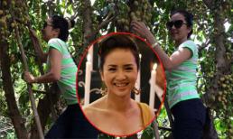 "Nữ hoàng Wushu" Thúy Hiền "nhí nhố" trong vườn quả