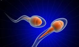 6 yếu tố làm giảm chất lượng tinh trùng ở nam giới