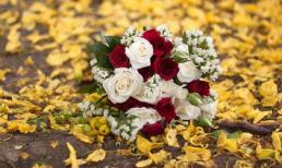 Muốn "bỏ của chạy lấy người" vì lấy phải vợ nanh nọc