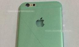 Lộ hình ảnh mặt lưng thật của iPhone 6