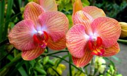 Thứ Sáu của bạn (30/5/2014)