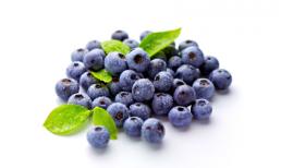 5 thực phẩm tốt cho phát triển trí não