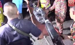 Malaysia chấn động vì bé 3 tuổi bị bắt cóc, chặt đầu khi đi mua sắm với mẹ