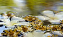 Kết thúc có hậu của người đàn ông ruồng rẫy vợ con để theo bồ nhí