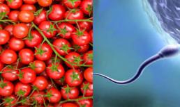 Cà chua làm tăng 70% số lượng tinh trùng