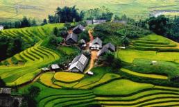 Điểm đến Việt Nam ‘đốn tim’ sao quốc tế 