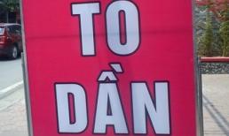 "Hội thi chim" phiên bản thơ