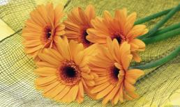 Khám phá thứ ba của bạn (6/5)