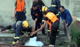 Mặc váy cưới "kết hôn" với thủy thần để cứu con trai