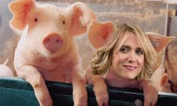 Ảnh vui: Sao 'khóc thét' khi nhìn ảnh chế của fan cuồng