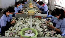 "Choáng" với cảnh ngồi đếm cả "núi" tiền lẻ của nhân viên công ty xe bus