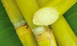 Công dụng thần kì của nước mía