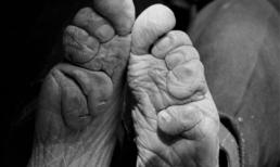 'Gót sen' cuối cùng 