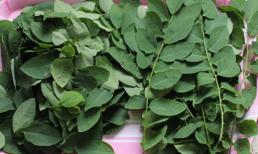 Vì sao sau sinh ai cũng bắt ăn rau ngót?