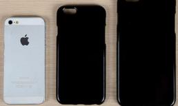 Lộ diện ốp lưng của iPhone 6 và... iPhone 6S