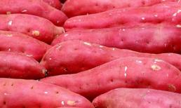 Giảm stress cực tốt với khoai lang