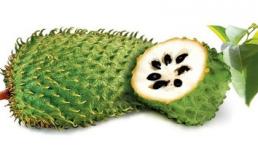 Mãng cầu xiêm không chữa được ung thư như đồn đoán