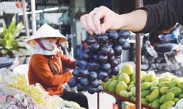 Trung Quốc tuồn nho, chanh, táo nhiễm độc vào Việt Nam
