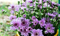 Thứ Năm của bạn (12/6/2014)