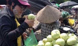 Hoa quả TQ nhiễm độc: VN gửi thông báo, TQ không hồi âm