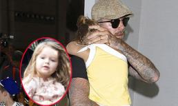 Harper ngủ gục ngon lành trên vai bố