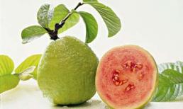 Tưởng 'mát' mà 'nóng'!