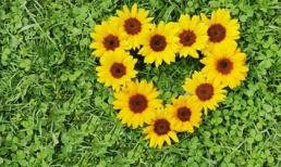 Thứ Sáu của bạn (20/6/2014)