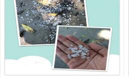 Những điều chưa biết về đá khô không tan, gây khó thở