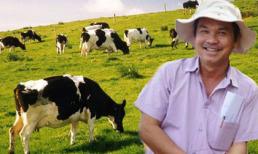 Vì sao bầu Đức dốc hàng ngàn tỷ nuôi bò sữa?
