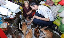 Ngọc Hân đến thăm bà cụ 80 tuổi cưu mang đàn mèo bị bỏ rơi