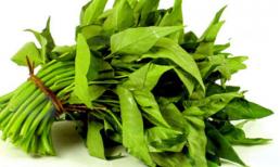 Chữa dị ứng, rôm sảy, mẩn ngứa với rau muống